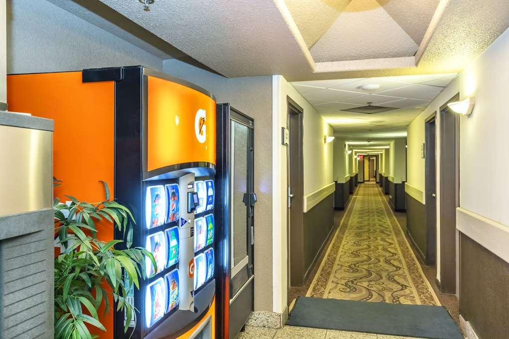 Quality Inn & Suites Йорктон Удобства фото